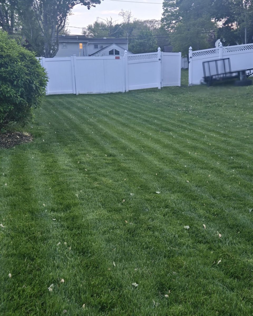 Lawn stripes left by the Mammotion Luba 3 AWD after a night cut